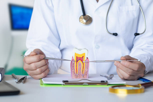 Best Emergency Dental Care for Broken or Chipped Teeth in Walsenburg, CO